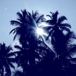 New listings! Coming soon! Stay tuned!